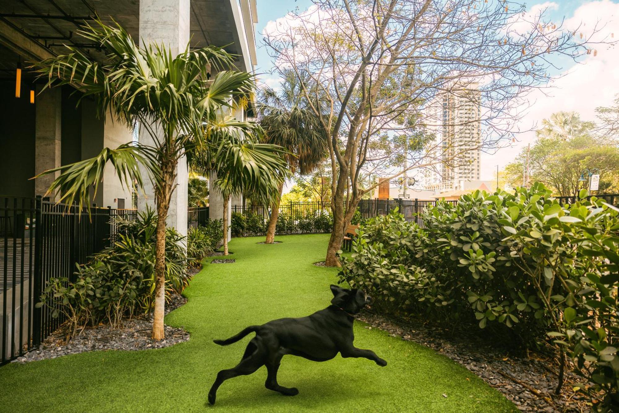 Flow Fort Lauderdale Hotel Ngoại thất bức ảnh